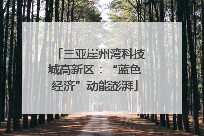 三亚崖州湾科技城高新区：“蓝色经济”动能澎湃