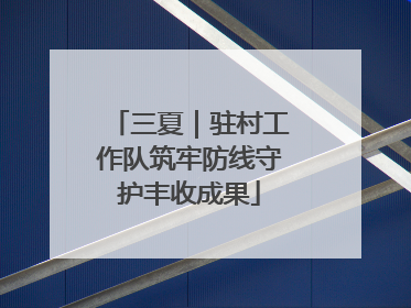 三夏｜驻村工作队筑牢防线守护丰收成果