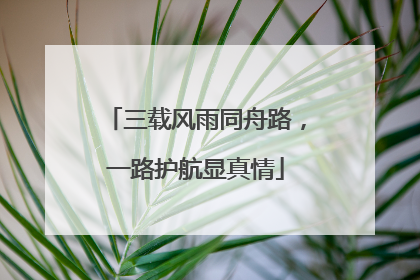 三载风雨同舟路，一路护航显真情