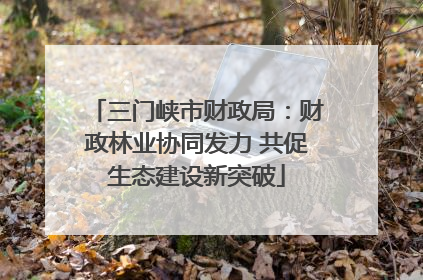 三门峡市财政局：财政林业协同发力 共促生态建设新突破