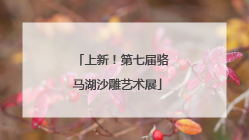 上新！第七届骆马湖沙雕艺术展