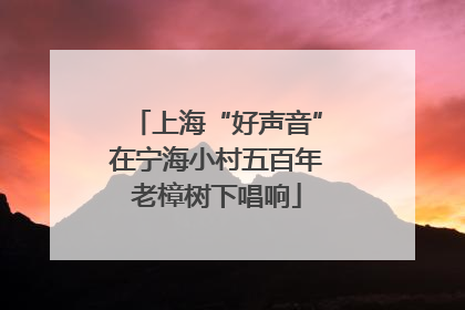上海“好声音”在宁海小村五百年老樟树下唱响