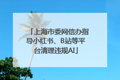 上海市委网信办指导小红书、B站等平台清理违规AI