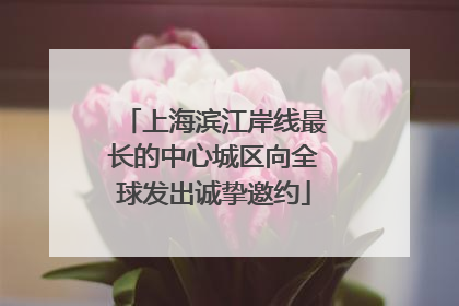 上海滨江岸线最长的中心城区向全球发出诚挚邀约