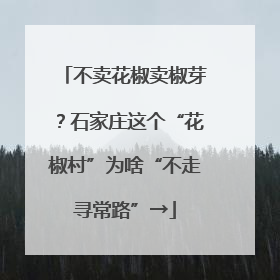 不卖花椒卖椒芽？石家庄这个“花椒村”为啥“不走寻常路”→