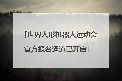 世界人形机器人运动会官方报名通道已开启