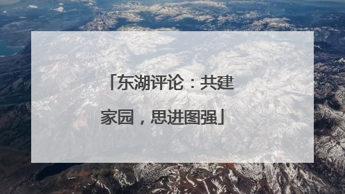 东湖评论：共建家园，思进图强