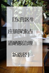 东营区牛庄镇探索占道晒粮治理新路径