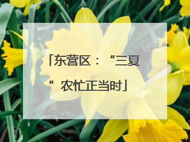 东营区：“三夏”农忙正当时