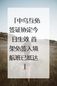 中乌互免签证协定今日生效 首架免签入境航班已抵达