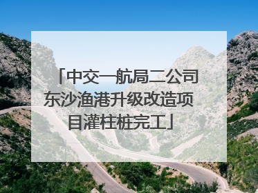 中交一航局二公司东沙渔港升级改造项目灌柱桩完工