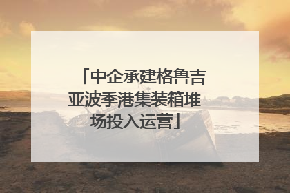 中企承建格鲁吉亚波季港集装箱堆场投入运营