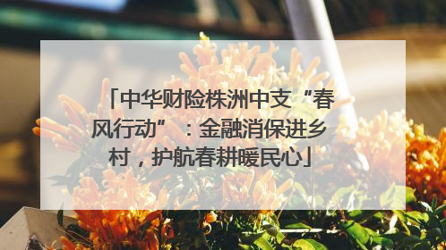 中华财险株洲中支“春风行动”：金融消保进乡村，护航春耕暖民心