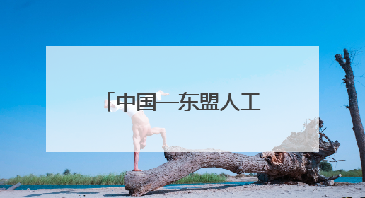 中国—东盟人工智能创新应用大赛在广西北海启动