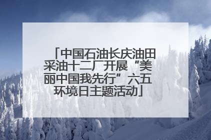 中国石油长庆油田采油十二厂开展“美丽中国我先行”六五环境日主题活动