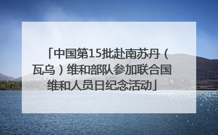 中国第15批赴南苏丹（瓦乌）维和部队参加联合国维和人员日纪念活动