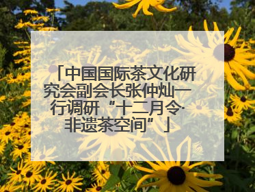 中国国际茶文化研究会副会长张仲灿一行调研“十二月令·非遗茶空间”