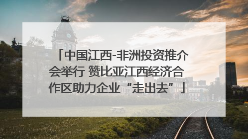 中国江西-非洲投资推介会举行 赞比亚江西经济合作区助力企业“走出去”