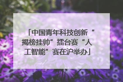 中国青年科技创新“揭榜挂帅”擂台赛“人工智能”赛在沪举办