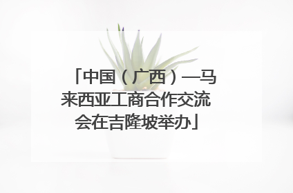 中国（广西）—马来西亚工商合作交流会在吉隆坡举办