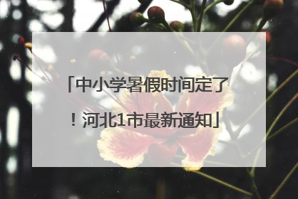 中小学暑假时间定了！河北1市最新通知
