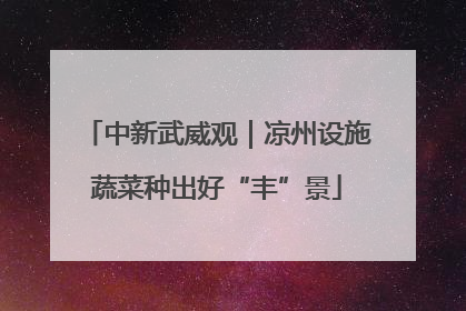 中新武威观｜凉州设施蔬菜种出好“丰”景