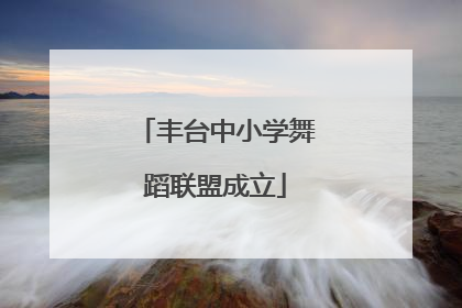 丰台中小学舞蹈联盟成立