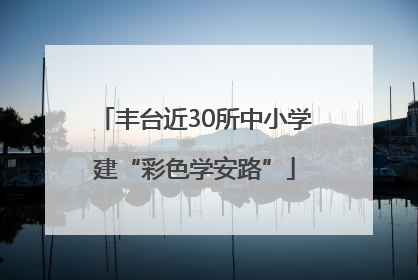 丰台近30所中小学建“彩色学安路”