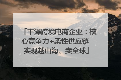 丰泽跨境电商企业：核心竞争力+柔性供应链 实现越山海、卖全球