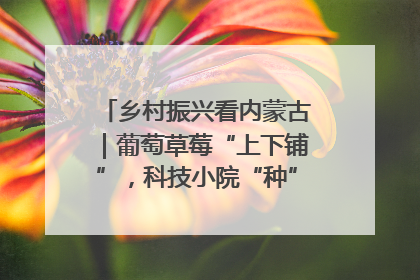 乡村振兴看内蒙古｜葡萄草莓“上下铺”，科技小院“种”出三倍效益