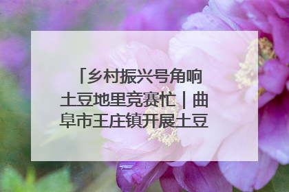 乡村振兴号角响 土豆地里竞赛忙｜曲阜市王庄镇开展土豆收获劳动竞赛