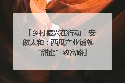 乡村振兴在行动丨安徽太和：西瓜产业铺就“甜蜜”致富路
