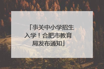 事关中小学招生入学！合肥市教育局发布通知