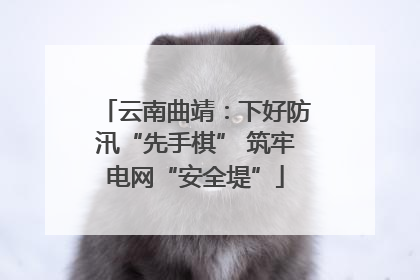云南曲靖：下好防汛“先手棋” 筑牢电网“安全堤”