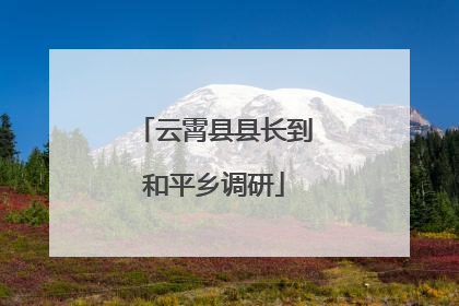 云霄县县长到和平乡调研