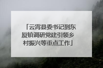 云霄县委书记到东厦镇调研党建引领乡村振兴等重点工作