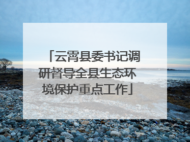 云霄县委书记调研督导全县生态环境保护重点工作