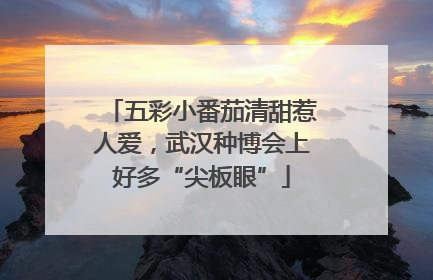 五彩小番茄清甜惹人爱，武汉种博会上好多“尖板眼”