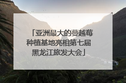 亚洲最大的蔓越莓种植基地亮相第七届黑龙江旅发大会