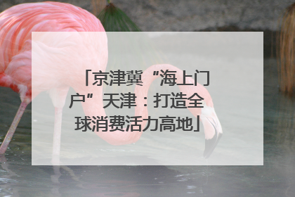 京津冀“海上门户”天津：打造全球消费活力高地