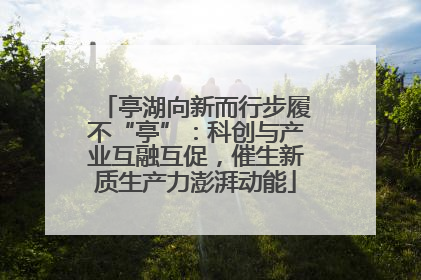 亭湖向新而行步履不“亭”：科创与产业互融互促，催生新质生产力澎湃动能