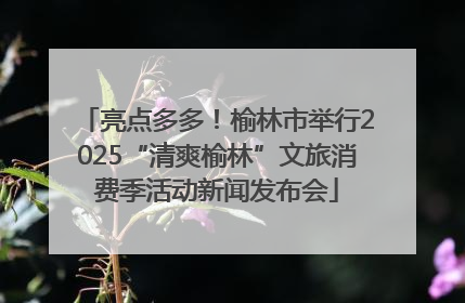 亮点多多！榆林市举行2025“清爽榆林”文旅消费季活动新闻发布会