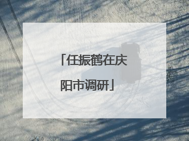 任振鹤在庆阳市调研