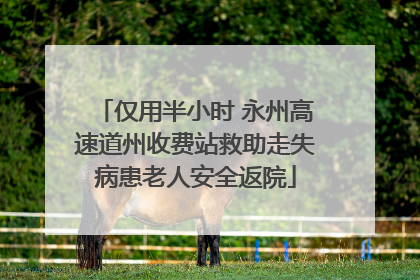 仅用半小时 永州高速道州收费站救助走失病患老人安全返院
