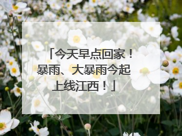 今天早点回家！暴雨、大暴雨今起上线江西！