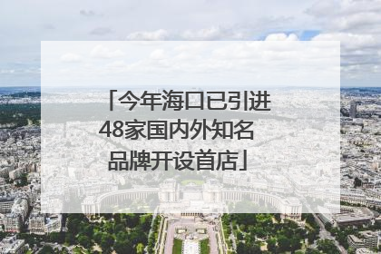 今年海口已引进48家国内外知名品牌开设首店