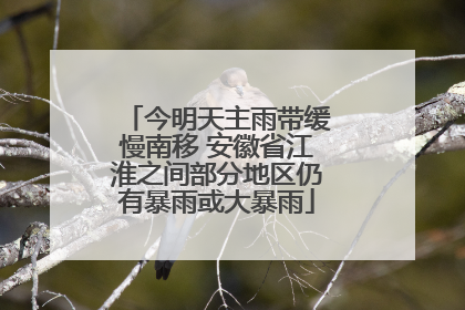 今明天主雨带缓慢南移 安徽省江淮之间部分地区仍有暴雨或大暴雨