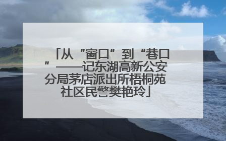 从“窗口”到“巷口”——记东湖高新公安分局茅店派出所梧桐苑社区民警樊艳玲