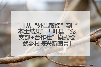 从“外出取经”到“本土结果”！叶县“党支部+合作社”模式绘就乡村振兴新图景