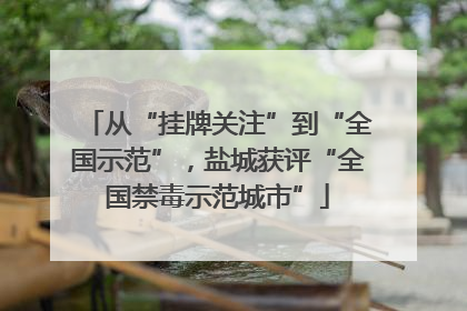 从“挂牌关注”到“全国示范”，盐城获评“全国禁毒示范城市”